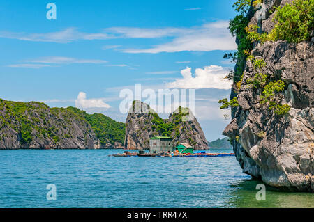 Une journée d'été entre les formations karstiques minéral et eaux émeraude du golfe du Tonkin, la baie d'Halong avec dans une maison flottante, au nord Vietnam, Asie. Banque D'Images