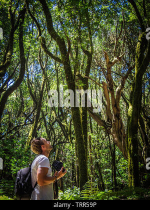 Décor d'un conte de la forêt magique d'El Cedro Forêt près du Parc National de Garajonay à La Gomera, Îles Canaries, Espagne Banque D'Images