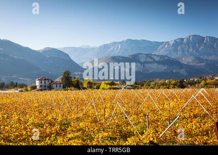 L'automne dans les Alpes du Trentin-Haut-Adige, Italie Banque D'Images