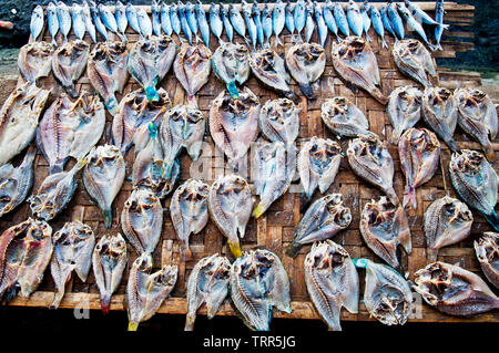 Le salage et le séchage du poisson est une technique de conservation afin de conserver de grandes quantités de poisson comestible sans réfrigération. Theseare mangé avec du riz. Banque D'Images