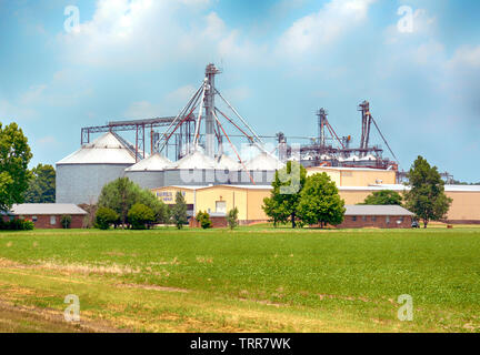 La compagnie céréalière Magnolia complexe avec les silos à céréales, les silos et les bâtiments en milieu rural, Mme Cary Banque D'Images