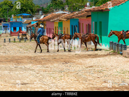 Cowboy mène une chaîne de chevaux au moyen d'une rue pavée, bordée de maisons colorées dans la ville de Trinidad, Cuba, Caraïbes Banque D'Images