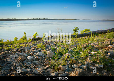 Un vieil arbre tombé et débris sur la rive du fleuve Mississippi en mouvement rapide au coucher du soleil près de Greenville, Mississippi, États-Unis Banque D'Images