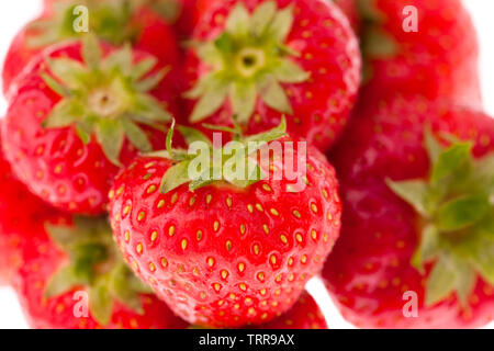 Studio photo de fraises fraîches sur fond blanc Banque D'Images