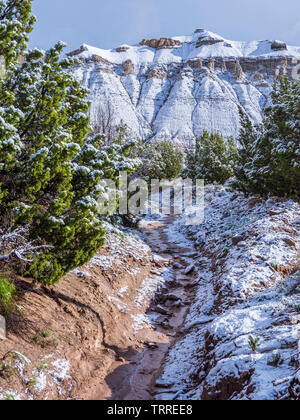 Jour de neige dans le parc, Parc d'état de Kodachrome Basin, Cannonville, Utah. Banque D'Images