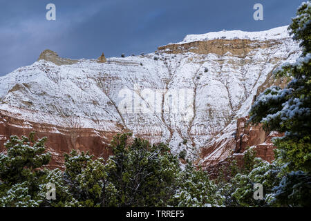 Jour de neige dans le parc, Parc d'état de Kodachrome Basin, Cannonville, Utah. Banque D'Images