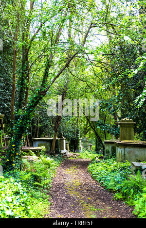 Cimetière de Highgate West, Londres, UK Banque D'Images