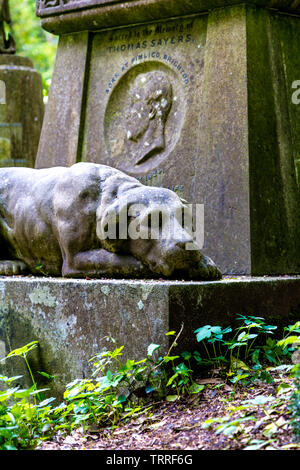 Sculpture du Lion le chien, chef Black sur la tombe de boxer / Tom Sayers de pugilat Ouest Highgate Cemetery, Londres, UK Banque D'Images
