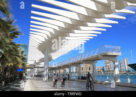 Palmeral de las Sorpresas contemporain, la promenade du port dans le centre-ville de Malaga, sur la Costa del Sol, en Andalousie, Espagne, Europe Banque D'Images