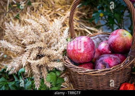 Les pommes dans le panier et de blé sur fond décoré de paille. Arrière-plan de Harvest Festival Banque D'Images