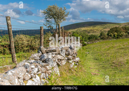 L'une des nombreuses frontières qui traversent le paysage du Parc National de Dartmoor, dans le Devon (Angleterre). Banque D'Images