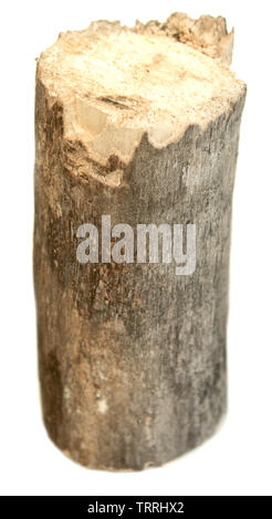 Log isolé sur fond blanc Banque D'Images