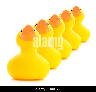 Obtenir vos canards dans une rangée. Canards en caoutchouc dans une rangée isolé sur un fond blanc. Banque D'Images