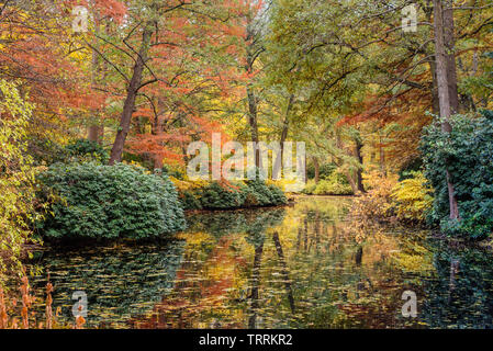 L'automne magnifique parc de Tiergarten à Berlin. Allemagne Banque D'Images