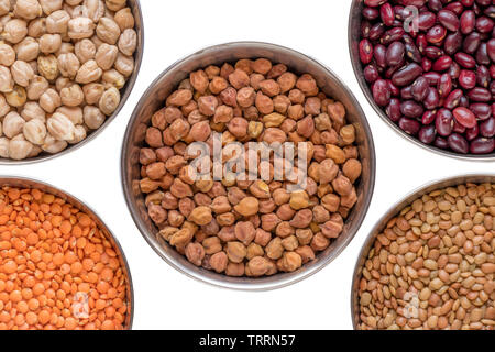 Le pois chiche (Channa) / Le Masoor dal (lentilles rouges) / Split Split) Pois chiche (Channa gram noir / noir / lentille (urad) / Garbanzo (Kabuli Channa) / Cheval Banque D'Images