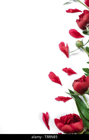 Composition de fleurs. Fleurs rouge sur fond blanc représenté séparément. De nombreuses petites feuilles pour la décoration de toute célébration card. Télévision lay, top v Banque D'Images