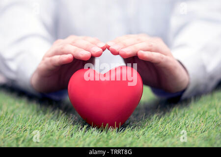 Cœur rouge sur l'herbe verte couverte par les mains. L'assurance-santé ou d'amour concept Banque D'Images