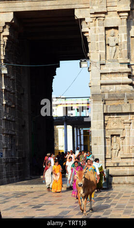 Pèlerins hindous entrant dans le temple de Chidambaram Thillai Natarajah, Inde. Banque D'Images