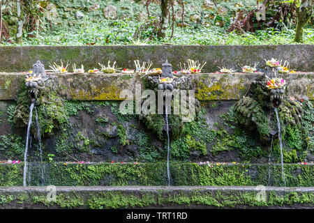 L'eau sainte de la forme de dragon fontaines du temple hindou balinais Pura Luhur Batukaru, Tabanan, Bali, Indonésie Banque D'Images