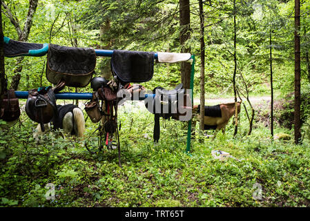 Trail l'équitation dans les montagnes de Bosnie. Le poisson grillé, le café, les haricots sur le feu sont préparés dans la nature ambiante. Banque D'Images