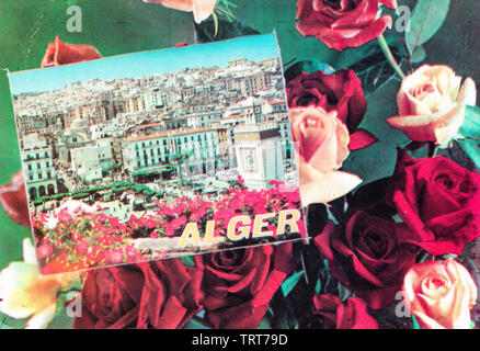 Cartes postales anciennes, Alger, Algérie, Afrique du Nord Banque D'Images
