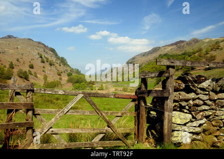 Regardant vers le bas à partir de Beck Watendlath près du hameau de Watendlath dans le Lake District. Banque D'Images