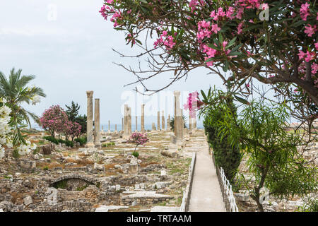 Colonnade en Al Mina, site archéologique de Tyr, Liban Banque D'Images