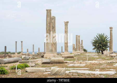 Route à colonnades à Al Mina, site archéologique de Tyr, Liban Banque D'Images