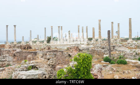 Route à colonnades à Al Mina, site archéologique de Tyr, Liban Banque D'Images