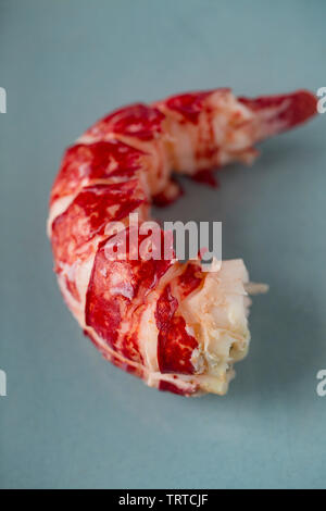 La queue d'un petit homard Homarus gammarus, bouilli avec le shell enlevés. D'un homard capturé dans un pot situé dans la Manche. Displ Banque D'Images