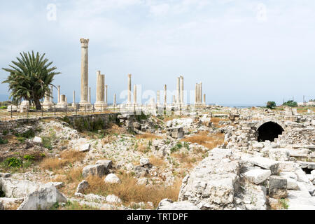 Route à colonnades à Al Mina, site archéologique de Tyr, Liban Banque D'Images