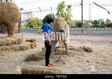 Les marionnettes de paille ou paillettes man figure Festival pour les thaïlandais et étrangers à visiter voyage voyageur Mahasarakham City le 11 janvier 2019 dans Maha Sarakha Banque D'Images