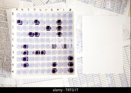 Cuirassé de laboratoire de jeu dans une cuvette spectrophotomètre de flou artistique fort, des seringues et des feuilles de papier rempli avec des tableaux autour d'elle Banque D'Images