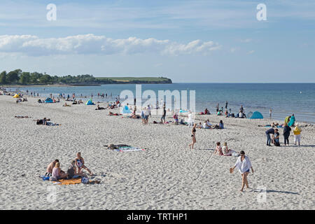 Plage, à Boltenhagen, Schleswig-Holstein, Allemagne Banque D'Images