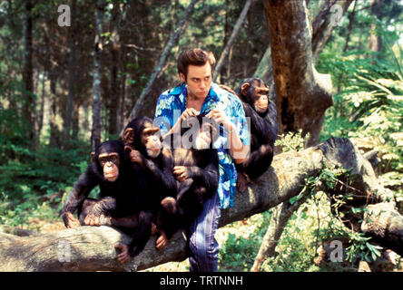 JIM CARREY dans Ace Ventura : QUAND LA NATURE DES APPELS (1995). Copyright : Editorial uniquement. Pas de merchandising ou des couvertures de livres. C'est un document distribué au public. Les droits d'accès uniquement, aucune licence de droit d'auteur prévue. Seulement pour être reproduit dans le cadre de la promotion de ce film. Credit : MORGAN CREEK / Album Banque D'Images