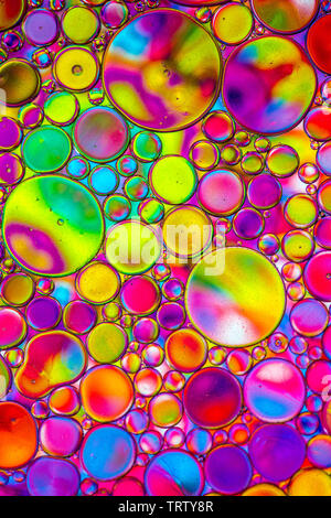 Abstract colorful bulles organique texture pattern macro Banque D'Images