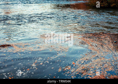 Vue de la mousse sur l'eau polluée avec les ordures dans la rivière Ebro. Saragosse.Espagne Banque D'Images