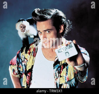 JIM CARREY dans Ace Ventura : PET DETECTIVE (1994). Copyright : Editorial uniquement. Pas de merchandising ou des couvertures de livres. C'est un document distribué au public. Les droits d'accès uniquement, aucune licence de droit d'auteur prévue. Seulement pour être reproduit dans le cadre de la promotion de ce film. Credit : Warner Brothers / Album Banque D'Images