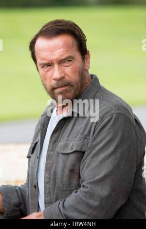 ARNOLD SCHWARZENEGGER en Maggie (2015). Copyright : Editorial uniquement. Pas de merchandising ou des couvertures de livres. C'est un document distribué au public. Les droits d'accès uniquement, aucune licence de droit d'auteur prévue. Seulement pour être reproduit dans le cadre de la promotion de ce film. Credit : LIONSGATE / Album Banque D'Images