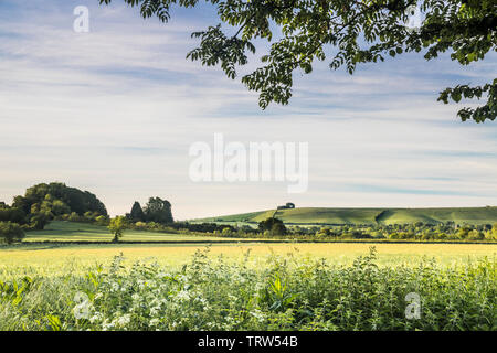 La vue en direction de Liddington Hill, près de Swindon, Wiltshire sur un début d'un matin d'été. Banque D'Images