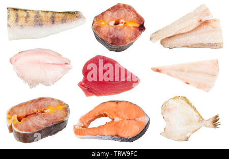 Collage à partir de diverses matières premières poissons congelés (Zander, l'esturgeon, la perche de mer, thon, morue, saumon, jaune) isolé sur fond blanc Banque D'Images