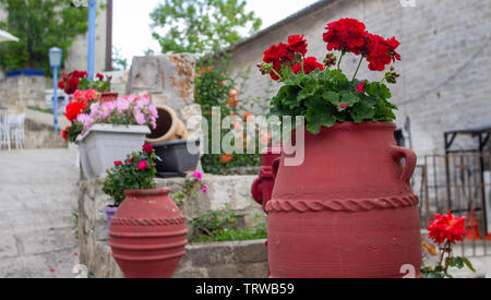 Géraniums rouges en fleurs,dans une usine de terracota titulaire. Banque D'Images