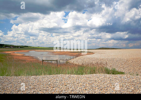 Le bord de la crête de bardeaux et un mauvais pour la faune sur les marais dans la région de North Norfolk à Salthouse, Norfolk, Angleterre, Royaume-Uni, Europe. Banque D'Images