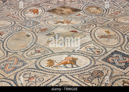 Sol en mosaïque colorée à la chambre d'Orphée, une partie de l'ancienne cité romaine Volubilis, au Maroc. La mosaïque représente les travaux d'Hercule. Banque D'Images