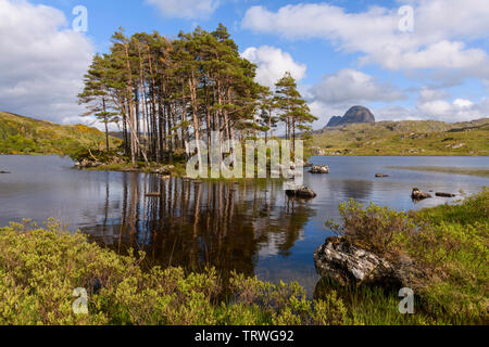 L'île des Pins sylvestres et sur le Loch Druim Suardalain avec Suilven en arrière-plan, près de Glencanisp Lodge, Assynt, Sutherland, Highlands, Scotland Banque D'Images