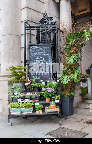 Une piscine en plein air de fleurs fleuriste stand de décrochage sur Oxford Road à Manchester, UK Banque D'Images