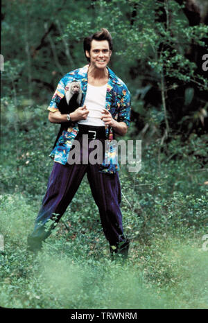 JIM CARREY dans Ace Ventura : QUAND LA NATURE DES APPELS (1995). Copyright : Editorial uniquement. Pas de merchandising ou des couvertures de livres. C'est un document distribué au public. Les droits d'accès uniquement, aucune licence de droit d'auteur prévue. Seulement pour être reproduit dans le cadre de la promotion de ce film. Credit : MORGAN CREEK / Album Banque D'Images