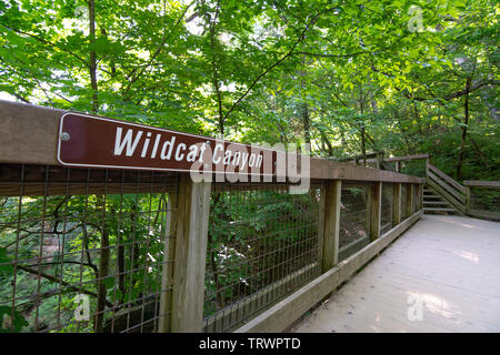 Plus de balustrade en Canyon Wildcat Starved Rock State Park, Illinois. Banque D'Images