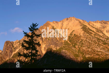 USA, Washington, National Forest Okanogan-Wenatchee, Coucher de soleil sur le côté sud-est de Kangaroo Ridge, près de Washington. Banque D'Images