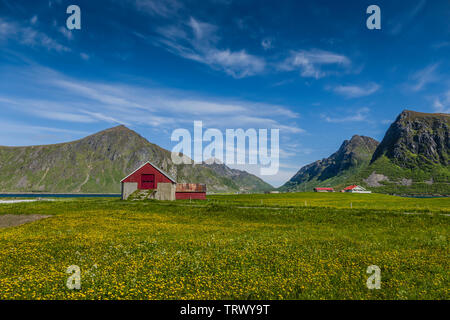 Ferme à Flakstad, îles Lofoten, Norvège. Banque D'Images